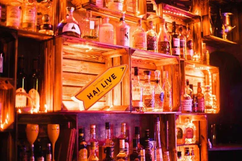 HaiLive Wohnzimmerkonzert